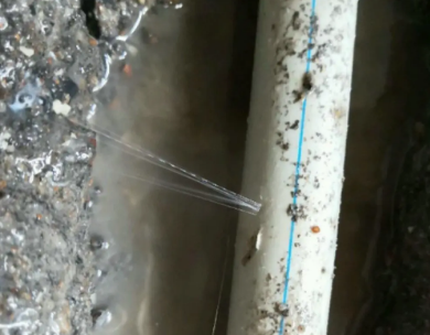 驻马店市测漏水哪家好