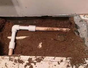 驻马店市测漏水哪家好