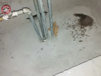 驻马店市卫生间测漏水价格明细