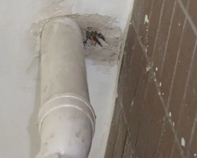 驻马店市漏水检测哪家好